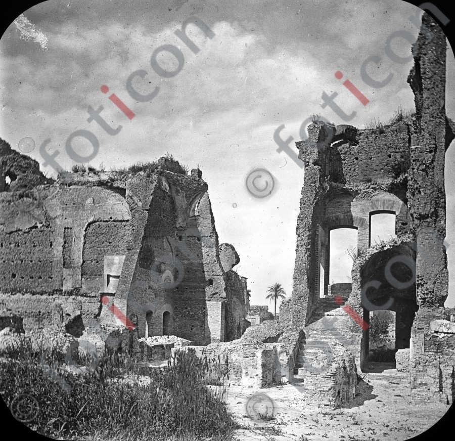 Ruinen auf dem Palatin (foticon-simon-033-046-sw.jpg)